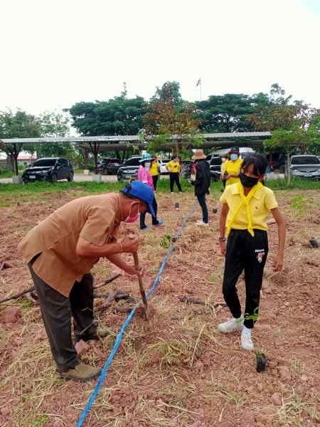 กิจกรรมวันตันไม้ประจำปีของชาติ ประจำปี 2565