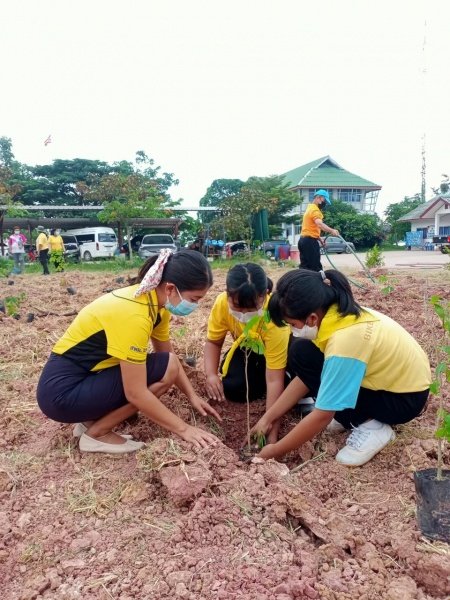 กิจกรรมวันตันไม้ประจำปีของชาติ ประจำปี 2565