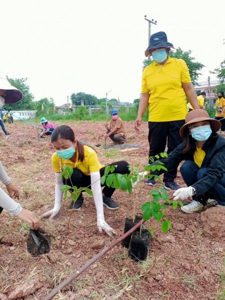 กิจกรรมวันตันไม้ประจำปีของชาติ ประจำปี 2565