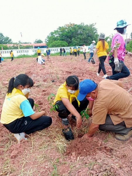 กิจกรรมวันตันไม้ประจำปีของชาติ ประจำปี 2565