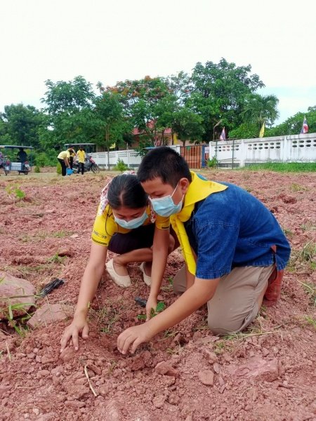 กิจกรรมวันตันไม้ประจำปีของชาติ ประจำปี 2565