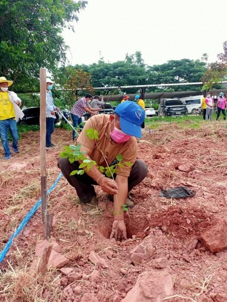 กิจกรรมวันตันไม้ประจำปีของชาติ ประจำปี 2565