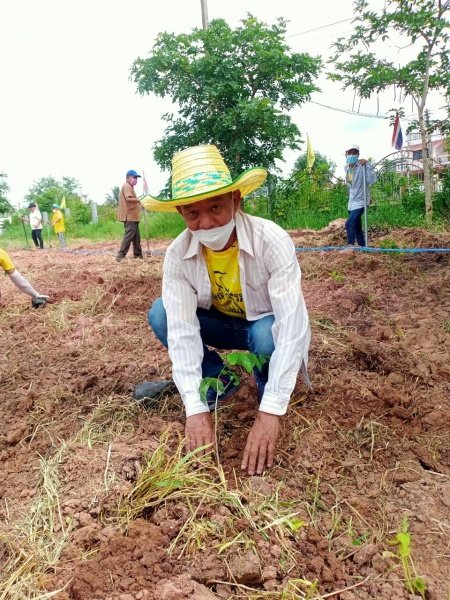 กิจกรรมวันตันไม้ประจำปีของชาติ ประจำปี 2565