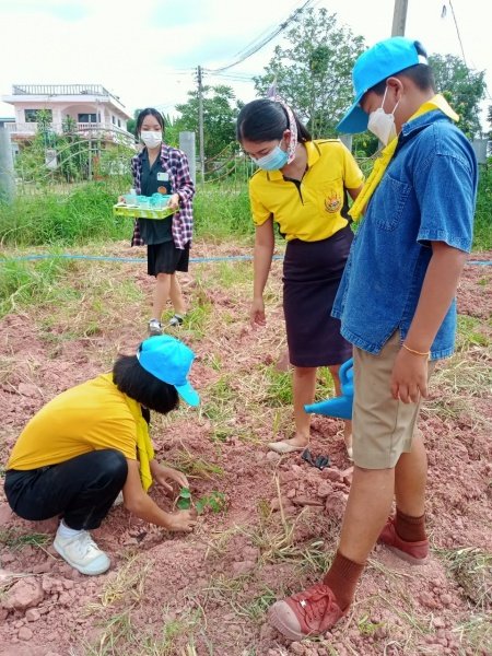 กิจกรรมวันตันไม้ประจำปีของชาติ ประจำปี 2565
