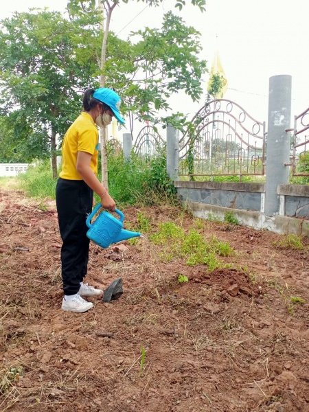 กิจกรรมวันตันไม้ประจำปีของชาติ ประจำปี 2565