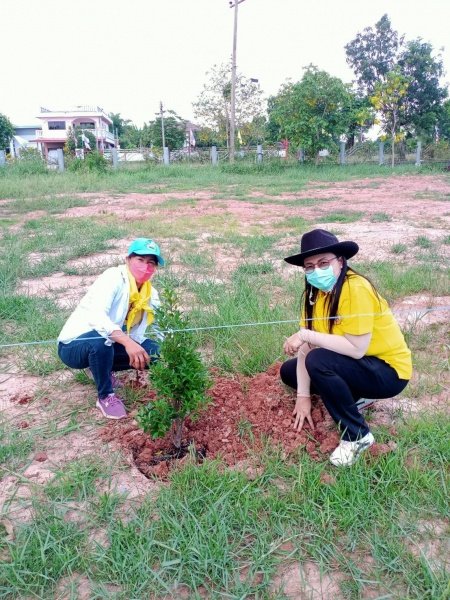 กิจกรรมปลูกต้นไม้ ปรับภูมิทัศน์ รอบบริเวณสำนักงาน อบต.หนองบัวน้อย