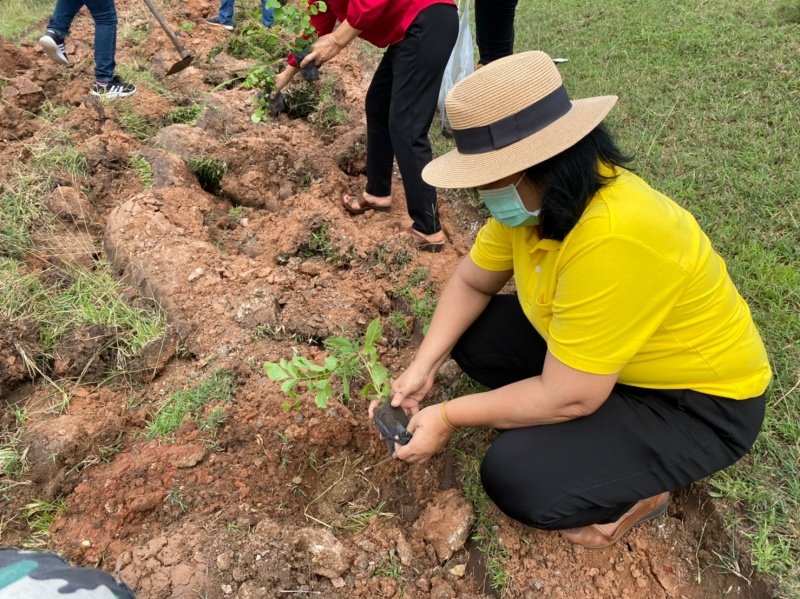 กิจกรรมวันต้นไม้ประจำปีของชาติ พ.ศ.2564 วันอังคาร ที่ 25 เดือนพฤษภาคม พ.ศ.2564