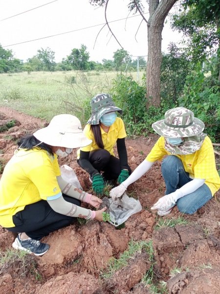 กิจกรรมวันต้นไม้ประจำปีของชาติ พ.ศ.2564 วันอังคาร ที่ 25 เดือนพฤษภาคม พ.ศ.2564