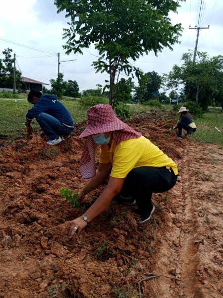 กิจกรรมวันต้นไม้ประจำปีของชาติ พ.ศ.2564 วันอังคาร ที่ 25 เดือนพฤษภาคม พ.ศ.2564