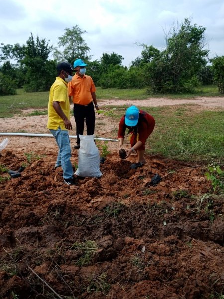 กิจกรรมวันต้นไม้ประจำปีของชาติ พ.ศ.2564 วันอังคาร ที่ 25 เดือนพฤษภาคม พ.ศ.2564