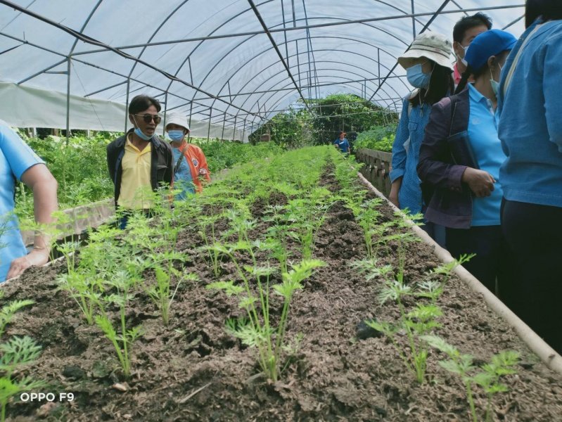 โครงการผึกอบรมอาชีพตำบลหนองบัวน้อย ณ ศูนย์กสิกรรมไร้สารพิษวังน้ำเขียว วันที่ 18-19 กุมภาพันธ์ พ.ศ.2564
