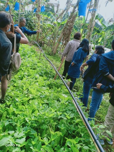โครงการผึกอบรมอาชีพตำบลหนองบัวน้อย ณ ศูนย์กสิกรรมไร้สารพิษวังน้ำเขียว วันที่ 18-19 กุมภาพันธ์ พ.ศ.2564