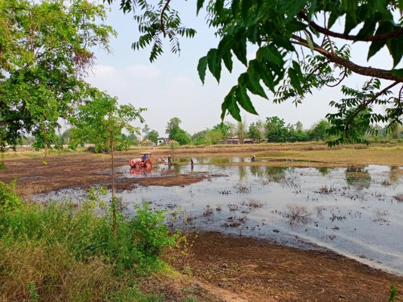 อบต.หนองบัวน้อยและกำนัน,ผู้ใหญ่บ้าน,ผู้ช่วยผู้ใหญ่บ้าน,สารวัตรกำนัน,แพทย์ประจำตำบลหนองบัวน้อยร่วมกันพัฒนาบริเวณสระน้ำขาวหมู่บ้านหนองบัวน้อย วันที่ 9 มีนาคม พ.ศ.2564