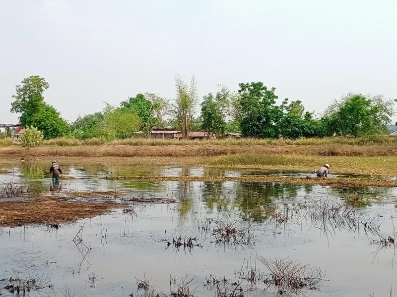 อบต.หนองบัวน้อยและกำนัน,ผู้ใหญ่บ้าน,ผู้ช่วยผู้ใหญ่บ้าน,สารวัตรกำนัน,แพทย์ประจำตำบลหนองบัวน้อยร่วมกันพัฒนาบริเวณสระน้ำขาวหมู่บ้านหนองบัวน้อย วันที่ 9 มีนาคม พ.ศ.2564