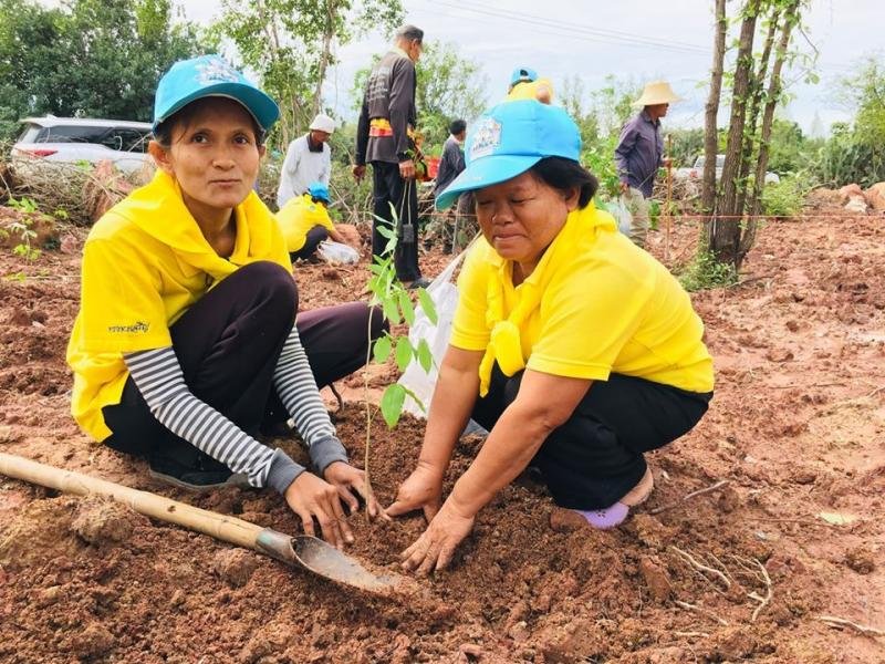 โครงการปลูกต้นไม้เพิ่มพื้นที่ป่าชุมชนร่วมกับทางวัดหนองบัวน้อย ปี 2562

ณ บริเวณพื้นที่ว่างด้านข้างโรงเรียนบ้านหนองบัวน้อย ตั้งแต่เวลา 09.00 น. เป็นต้นไป โดยการนำพาของ พระครูปทุมสราภิบาล เจ้าอาวาส/เจ้าคณะตำบลหนองบัวน้อย พร้อมด้วยนายสุพรรณ เอื้อศิลามงคล นายกองค์การบริหารส่วนตำบลหนองบัวน้อย นายประภาส เหินจันทึก กำนันตำบลหนองบัวน้อย ผู้ใหญ่บ้าน , ผู้ช่วยผู้ใหญ่บ้าน , สมาชิก อบต., พนักงาน อบต. ,และพี
