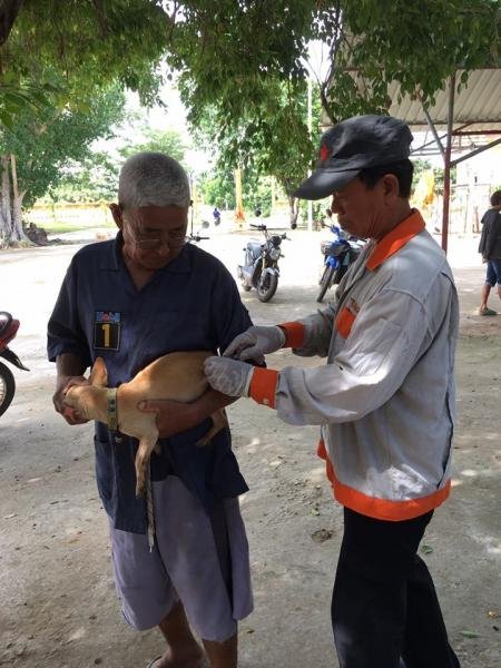 โครงการควบคุมและป้องกันโรคพิษสุนัขบ้า ปี 2562