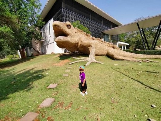 โครงการศึกษาแหล่งเรียนรู้นอกห้องเรียน ศูนย์พัฒนาเด็กเล็กตำบลหนองบัวน้อย
 ประจำปีการศึกษา 2562 วันที่ 21 กุมภาพันธ์ 2563 ประจำปีงบประมาณ 2563 ณ สถาบันวิจัยไม้กลายเป็นหินและทรัพยากรธรณีภาคตะวันออกเฉียงเหนือ เฉลิมพระเกียรติมหาวิทยาลัยราชภัฎนครราชสีมา ตำบลสุรนารี อำเภอเมือง จังหวัดนครราชสีมา ณ ศูนย์การศึกษาหนองระเวียง มหาวิทยาลัยเทคโนโลยีราชมงคลอีสานตำบลหนองระเวียง อำภอเมือง จังหวัดนครราชสีมา ศูนย์พั