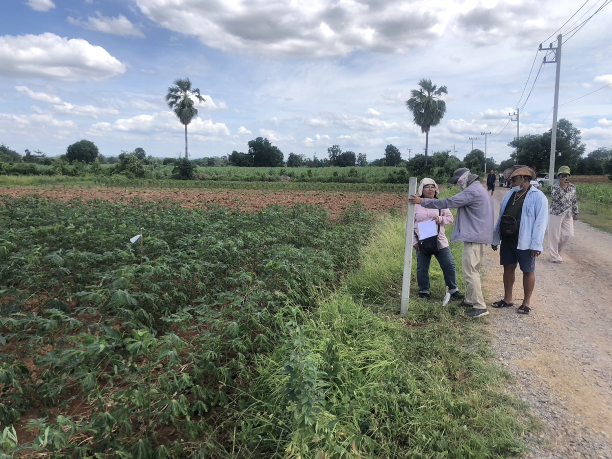อบต.หนองบัวน้อยร่วมตรวจสอบแนวเขตที่ดินกับกรมที่ดินและผู้ใหญ่บ้าน หมู่ 10 บ้านวังตะเคียน ตำบลหนองบัวน้อย อำเภอสีคิ้ว จังหวัดนครราชสีมา