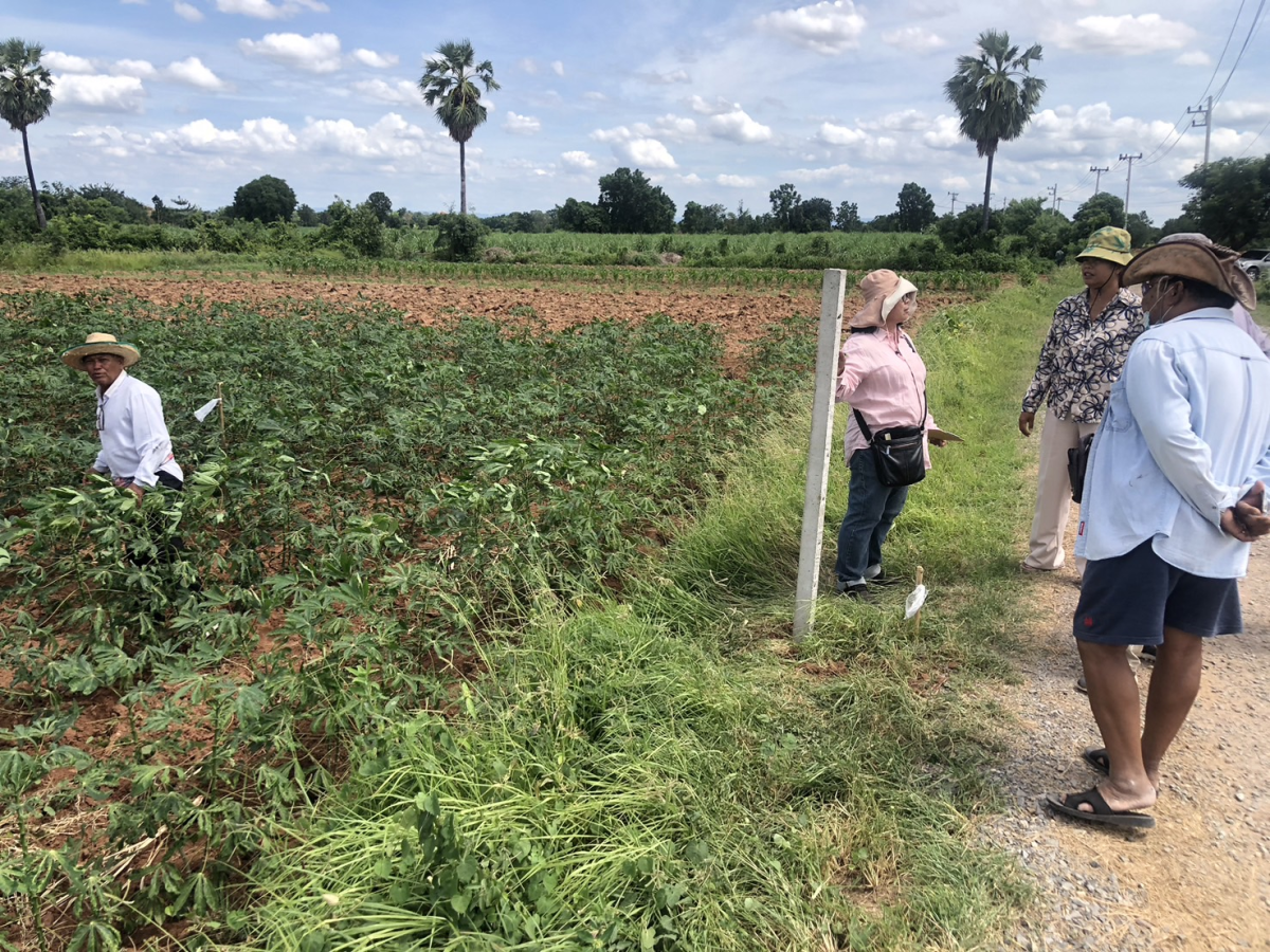 อบต.หนองบัวน้อยร่วมตรวจสอบแนวเขตที่ดินกับกรมที่ดินและผู้ใหญ่บ้าน หมู่ 10 บ้านวังตะเคียน ตำบลหนองบัวน้อย อำเภอสีคิ้ว จังหวัดนครราชสีมา