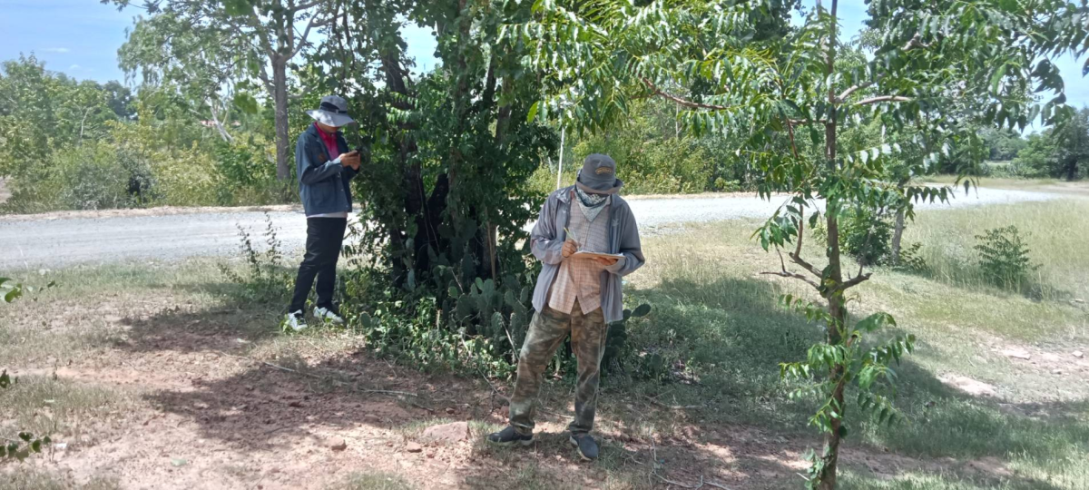 กองช่างออกสำรวจที่ภายในที่สำนักงาน อบต.หนองบัวน้อย