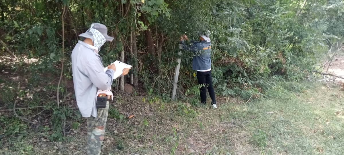 กองช่างออกสำรวจที่ภายในที่สำนักงาน อบต.หนองบัวน้อย