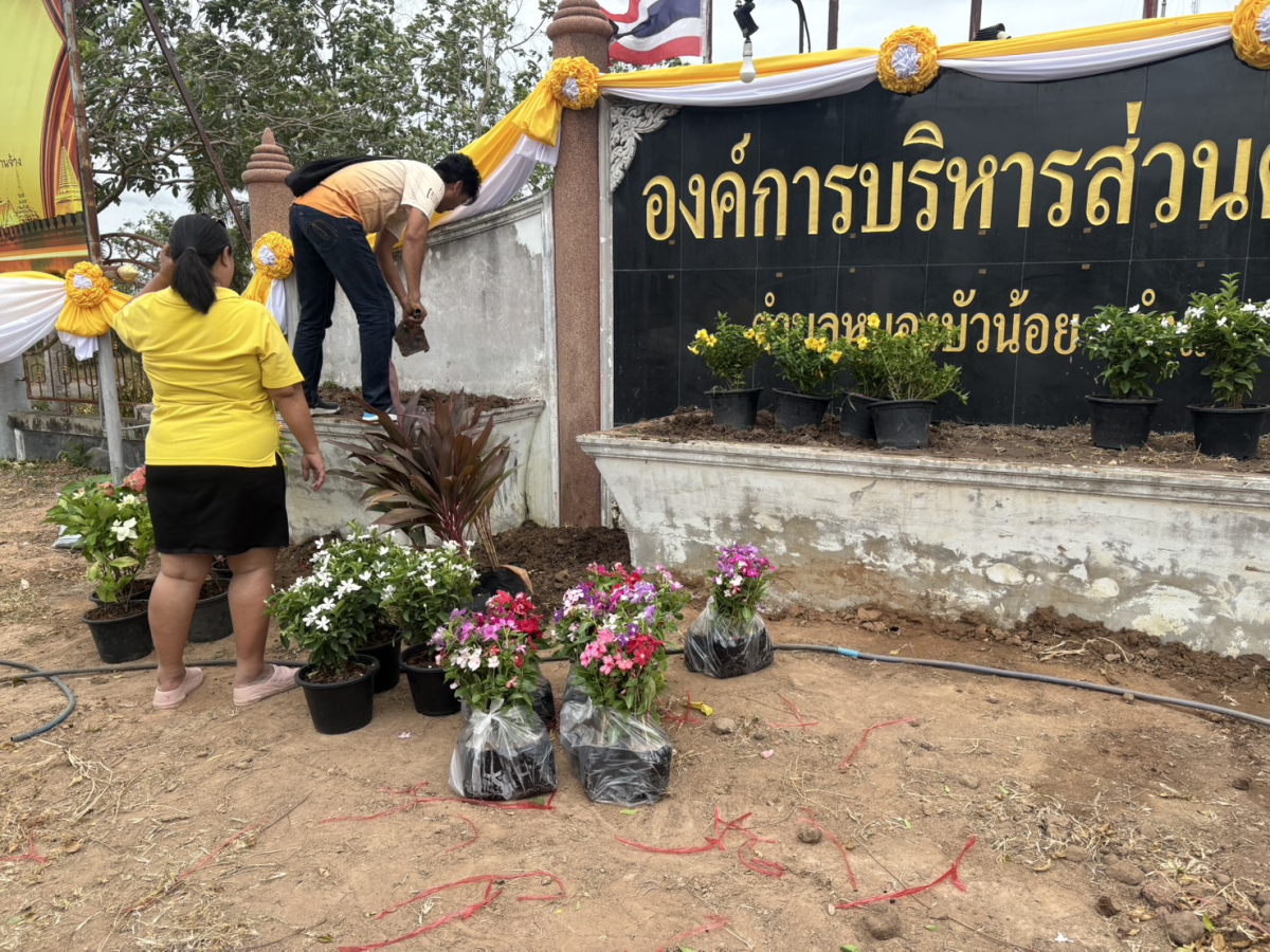 องค์การบริหารส่วนตำบลหนองบัวน้อย นำโดยท่านนายกประมาณ พันธ์จันทึกและคณะผู้บริหาร และเจ้าหน้าทีพนักงาน อบต. ได้ร่วมมือร่วมใจปลูกไม้ประดับ ทาสี เพื่อปรับภูมิทัศน์หน้าสำนักงาน