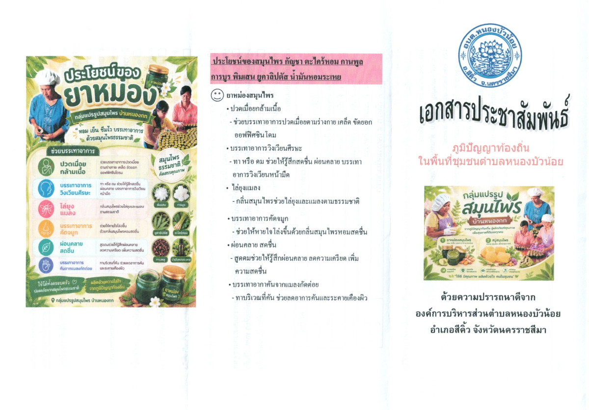 องค์การบริหารส่วนตำบลหนองบัวน้อย มีกลุ่มทอผ้า และกลุ่มกระดิ่ง เป็นภูมิปัญญาท้องถิ่นที่ส่งเสริมให้ประชาชนเรียนรู้และการถ่ายทอดจากรุ่นสู่อีกรุ่นจนเกิดผลดีงาม มีคุณค่า มีประโยชน์สามารถนำไปใช้ในการแก้ไขปัญหาและการพัฒนาคุณภาพชีวิต หรือใช้เป็นแนวทางในการดำรงค์ชีวิตและมีรายได้ให้กับครอบครัว